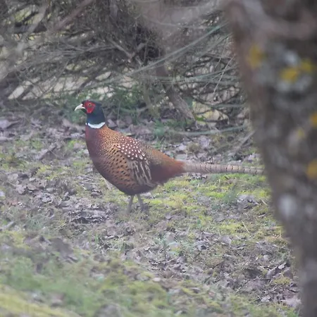Agroturismo Agriturismo La Fraternita Montepulciano Stazione