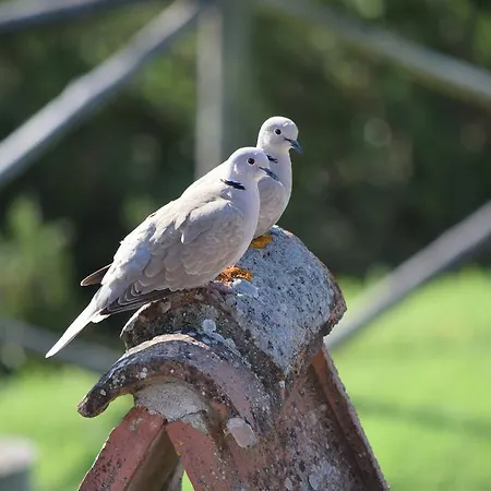 Agroturismo Agriturismo La Fraternita