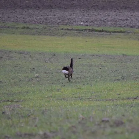 Agroturismo Agriturismo La Fraternita Montepulciano Stazione