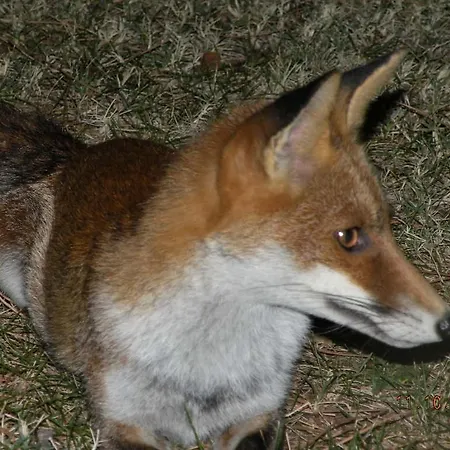 Agriturismo La Fraternita Agroturismo Montepulciano Stazione