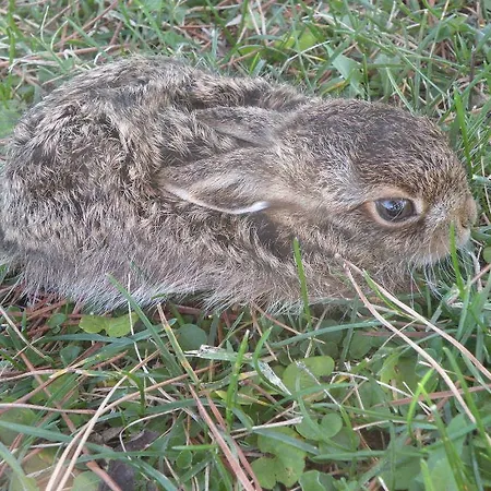 Agriturismo La Fraternita Agroturismo Montepulciano Stazione
