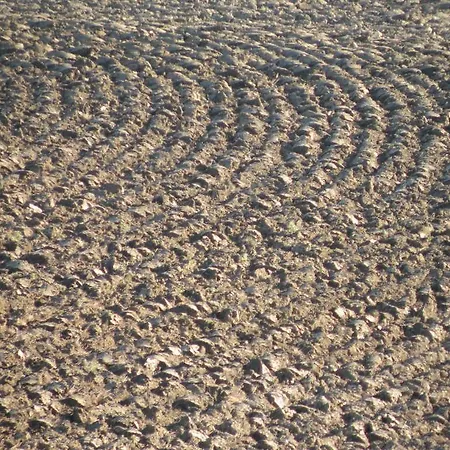 Agriturismo La Fraternita Agroturismo Montepulciano Stazione